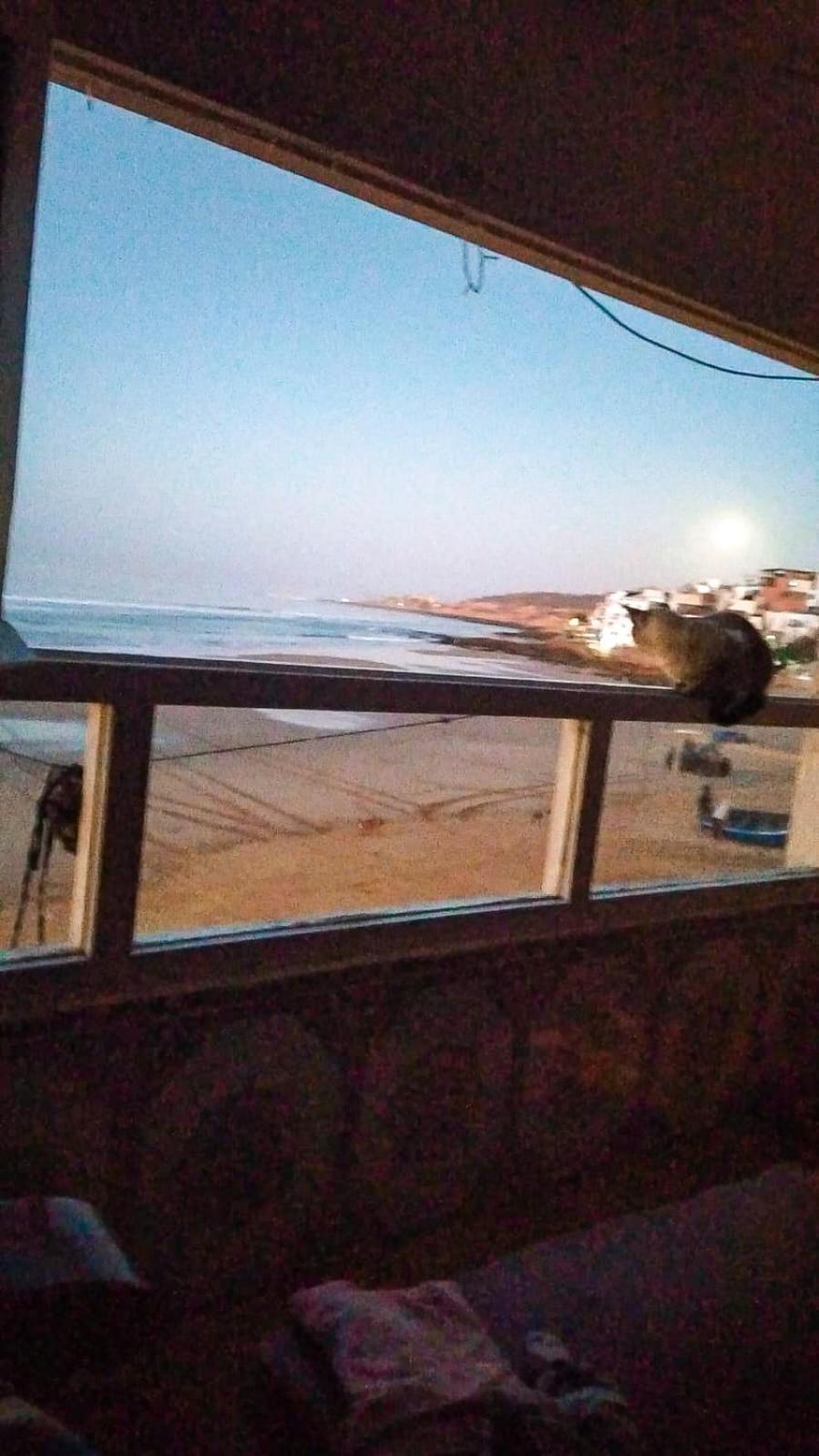 The Sea Guesthouse 阿加迪尔 外观 照片
